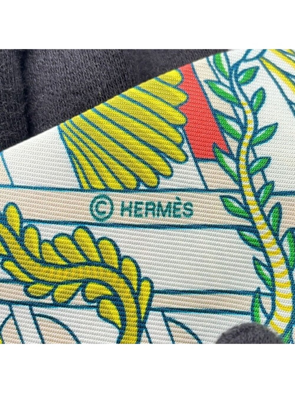 Hermes Scarf Twill Animapolis Silk - Picture 7 of 9